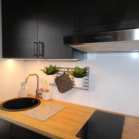 Apartamento Luchon T2 Renové Avec Balcon Et Parking - Fr-1-313-211 *