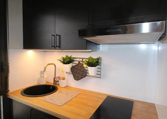 Appartement Luchon T2 Renové Avec Balcon Et Parking - Fr-1-313-211 *